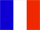 French Language flag.