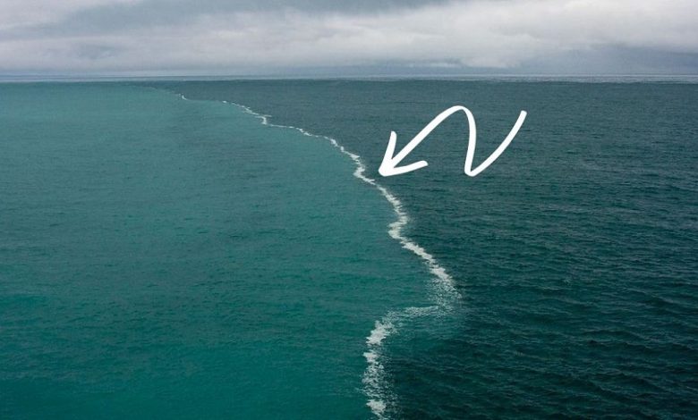  لماذا لا تمتزج مياه المحيط الأطلنطي مع المحيط الهادي ..وما هو سر الحواجز المائية الغير مرئية والتي تحول دون ذلك؟ ..